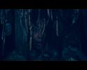 PDVD_448