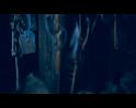 PDVD_454