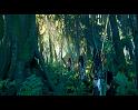 PDVD_635