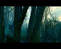 PDVD_640
