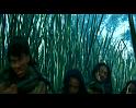 PDVD_658