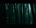 PDVD_668