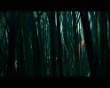 PDVD_669