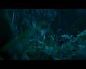 PDVD_676