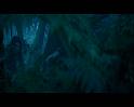 PDVD_677