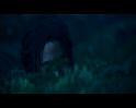 PDVD_690
