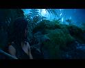 PDVD_705