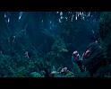 PDVD_709