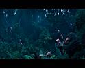 PDVD_710