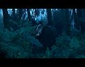 PDVD_713