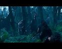 PDVD_732