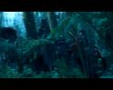 PDVD_735