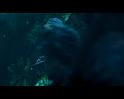 PDVD_736