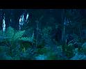 PDVD_739
