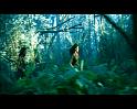 PDVD_762