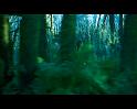 PDVD_763
