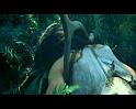 PDVD_769