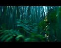 PDVD_776