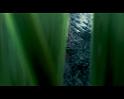 PDVD_782