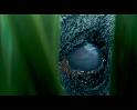 PDVD_783
