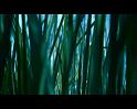 PDVD_785