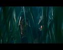PDVD_786