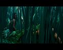 PDVD_797