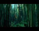 PDVD_798