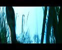 PDVD_799