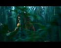 PDVD_800