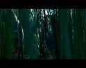 PDVD_802