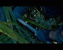 PDVD_803