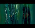 PDVD_804
