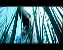 PDVD_812