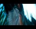 PDVD_813