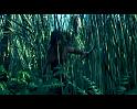 PDVD_815