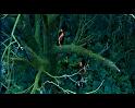 PDVD_820