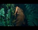 PDVD_821
