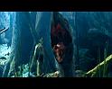PDVD_847