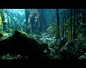 PDVD_848