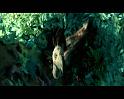 PDVD_858