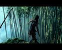 PDVD_865