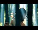 PDVD_871