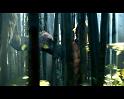 PDVD_872