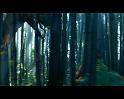 PDVD_874