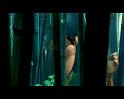PDVD_875