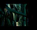 PDVD_879