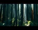 PDVD_883