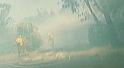 PDVD_555