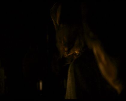 PDVD_014.jpg